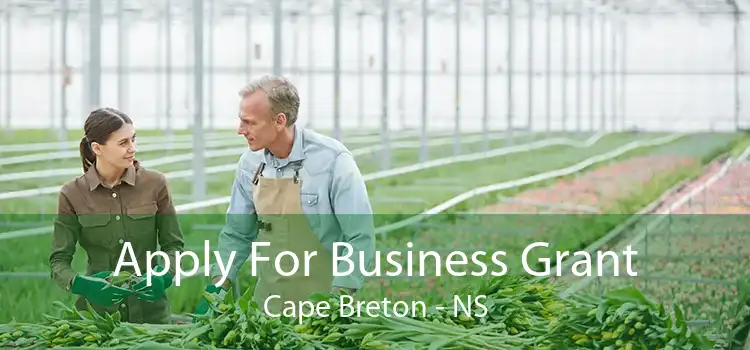 Apply For Business Grant Cape Breton - NS